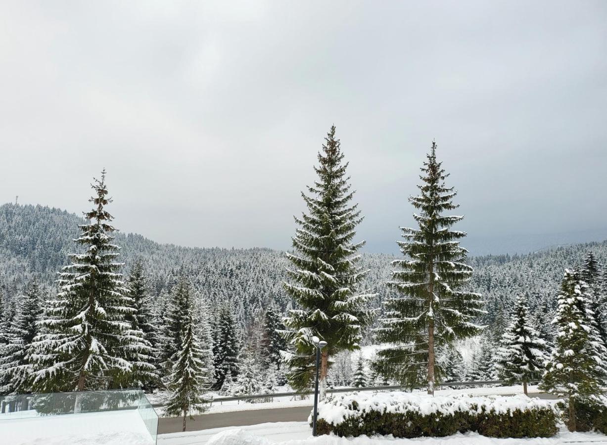 Hotel Forest Pale Extérieur photo